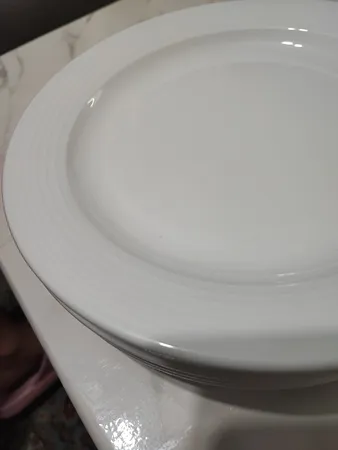 بشقاب غذاخوری چینی زرین ایران سری هتلی 49 کد 25 درجه عالی بسته 6 عددی