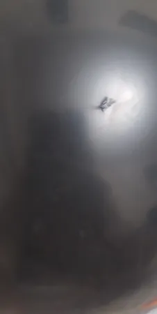 بادکنک مدل SGL بسته 10 عددی