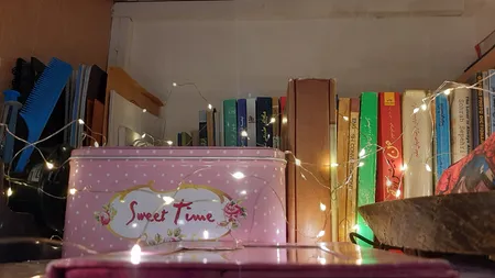 ریسه ال ای دی مفتولی کد 50LED طول 5 متر