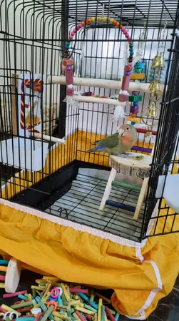 کاور قفس عروس هلندی مدل 1033