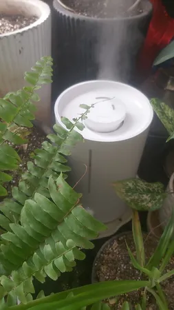 دستگاه بخور سرد میجیا مدل Humidifier 2 Lite MJJSQ06DY