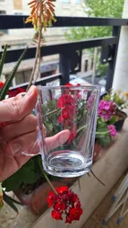 لیوان بلینک مکس مدل اوشن کد KTZB50 بسته 6 عددی