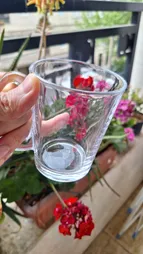 لیوان بلینک مکس مدل اوشن کد KTZB50 بسته 6 عددی