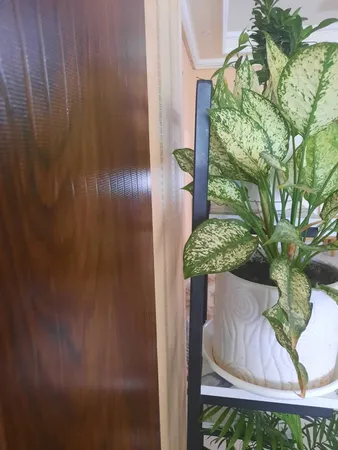 استند گلدان مدل C-100