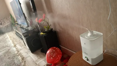 دستگاه بخور و رطوبت ساز سرد فرش لایف مدل C4