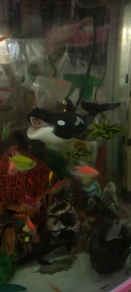 فیگور طرح حیوانات دریایی مدل نهنگ قاتل کد 09090