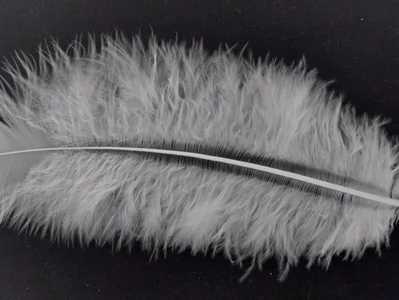 پر دریم کچر مدل w_1 بسته 20 عددی