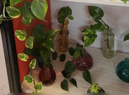 آب فشان آزمایشگاه مدل پی ست ظرفیت 1000 میلی لیتر