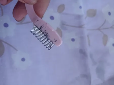 شانه لیفت مژه مدل PR12