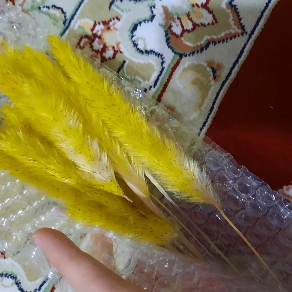 گل خشک مدل دم روباهی 10_4