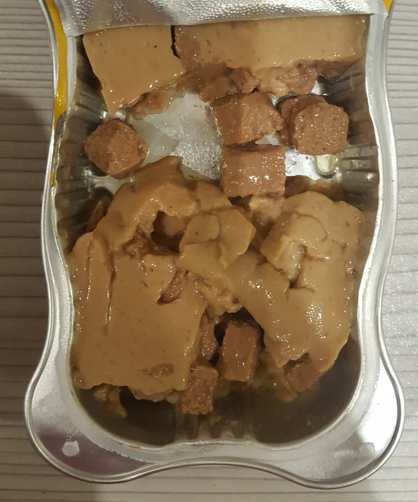 کنسرو ووم گربه کچت مدل مرغ وزن 85 گرم