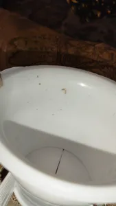 تجریه خرید چاه بست آوه پلاست البرز مدل A16