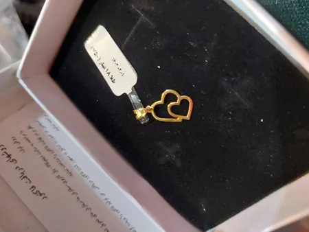 آویز گردنبند طلا 18 عیار زنانه مایا ماهک مدل MM1481 طرح دو قلب