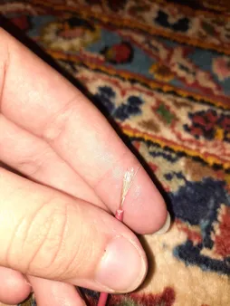 سیم برق افشان 1 در 0.5 کد R105