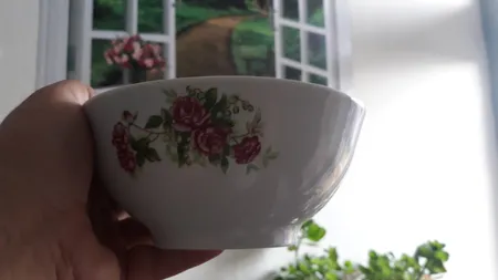 کاسه  مدل گل سرخ بسته 6 عددی