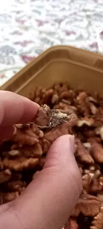 مغز گردو هیرشا - 400 گرم