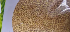 تجریه خرید تخم ارزن دستچین کالا مدل org وزن 400 گرم