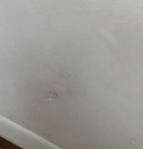 تجریه خرید مبل ال 6 نفره مدل کاژو