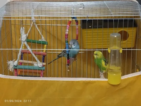 کاور قفس حیوانات کد 1030