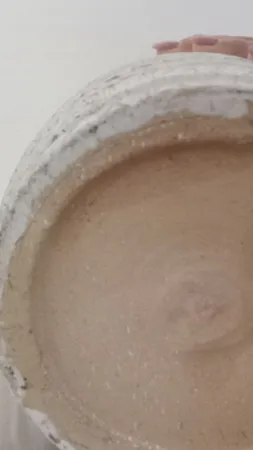 گیاه طبیعی سانسوریا شمشیری ابلغ کد1 -AS-7