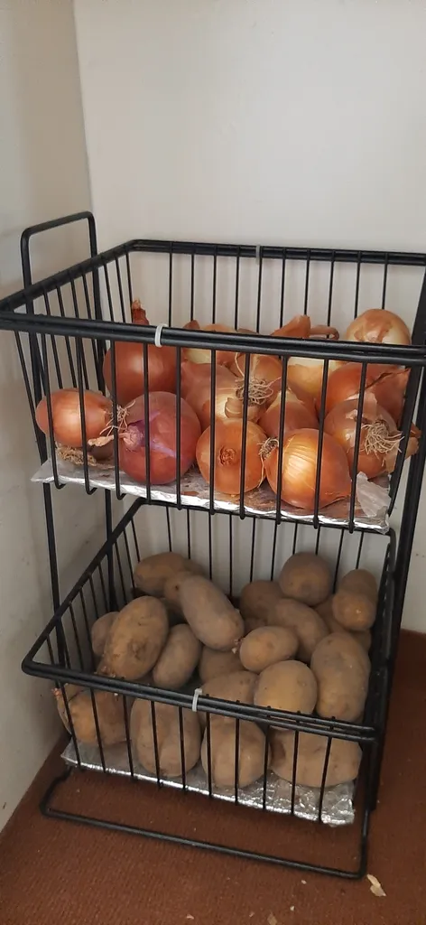 سبد سیب زمینی و پیاز مدل 3M4033