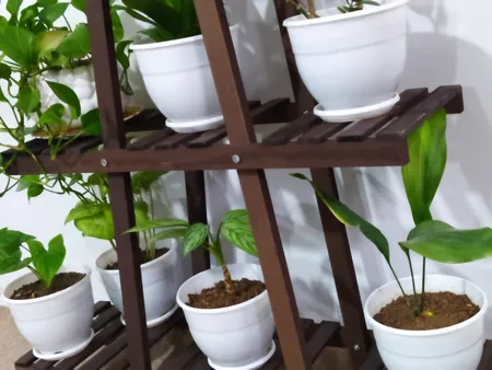 گلدان طرح ارکیده کد 164