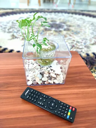 گلدان طرح آکواریوم کد ck106