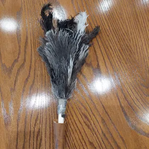 تجریه خرید گردگیر آلین مدل Ostrich Feather 2