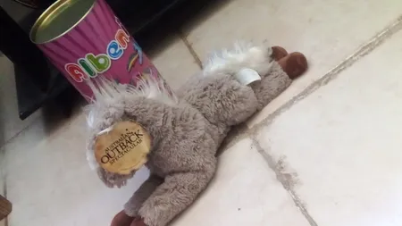 اسباب بازی شانسی آلبنی طرح پونی مدل 01