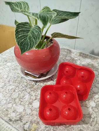 قالب یخ مدل B622 بسته 2 عددی