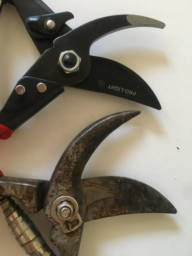 قیچی باغبانی لایت مدل JH-615