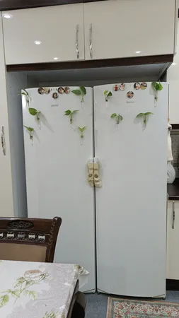 لوله آزمایشگاهی مدل گاما شفاف بسته 10 عددی