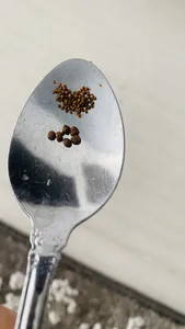 تجریه خرید غذای ماهی قرمز مدل RED FISH FOOD وزن 20 گرم