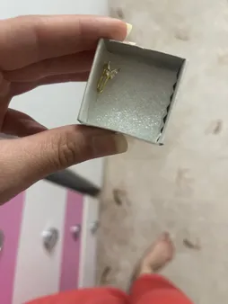 پیرسینگ بینی زنانه پایتخت مدل PS669_A