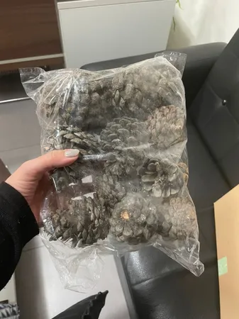 میوه تزیینی مدل کاج کد SRM-275 بسته 10 عددی