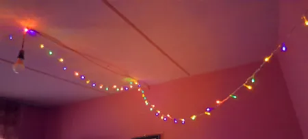 ریسه ال ای دی مدل سوزنی طرح پر طول 10 متری