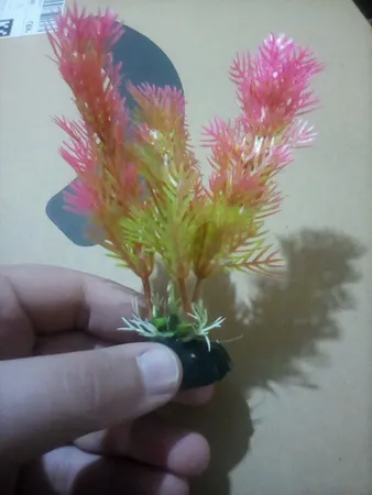 گیاه تزیینی آکواریوم کد 13