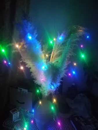 ریسه ال ای دی کد BT-50LED طول 5 متر