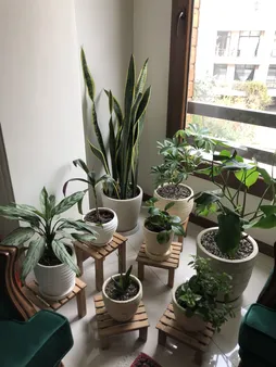 استند گلدان مدل NETWg02 مجموعه 2 عددی