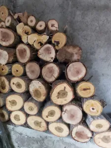 تجریه خرید تبدیل مینی فرز به اره زنجیری آپ آسپریت مدل NewA12 Professional