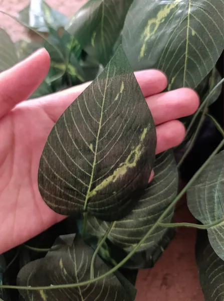 عکس ارسالی خریدار