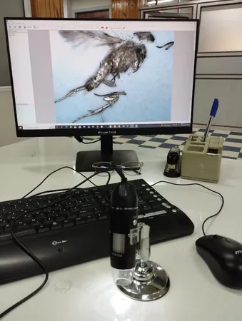 میکروسکوپ دیجیتال مدل 1000X