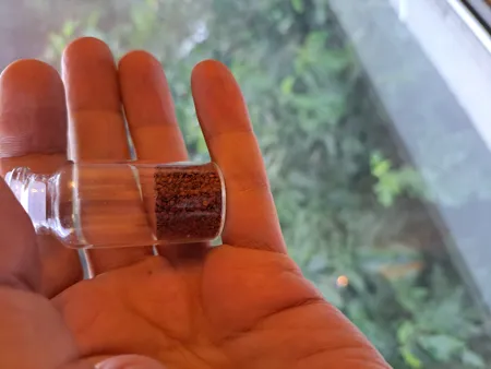 بذر پلنت آکواریوم مدل چمن ریز کوبایی