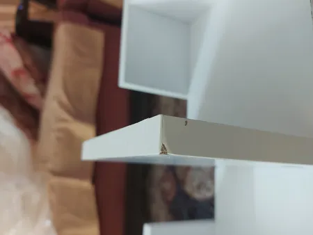 کتابخانه رومیزی مدل کاکتوس