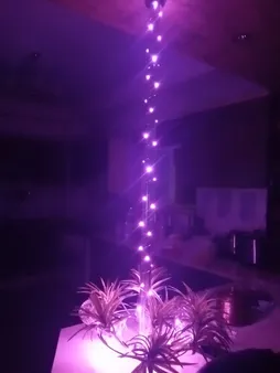 ریسه ال ای دی سحاب کد مفتولی به طول 5 متر