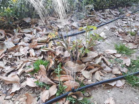 قطره چکان آبیاری مدل JS8 بسته 50 عددی