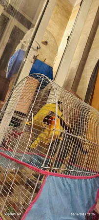 کاور قفس حیوانات کد 1030