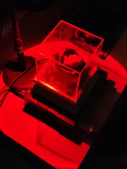 نور ثابت ال ای دی مدل SUNSET RGB B