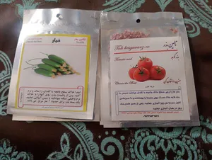 تجریه خرید بذر سبزیجات و قرمه سبزی خوراکی تالین بذر کد P-S-BZT-12 مجموعه 12 عددی