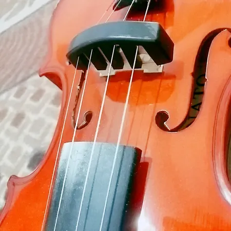 سوردین ویولن مدل C30